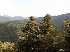 Vue sur les sommets dominant la vallée des Charbonniers, le massif du Ballon d'Alsace au premier plan